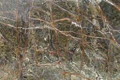 1_bidsar18