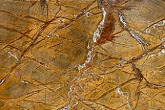 1_bidsar2