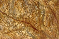 1_bidsar8