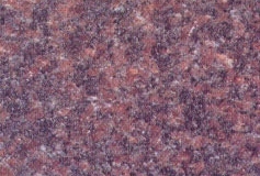 1_indian-mahogany