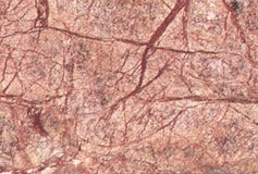 1_bidaser-brown