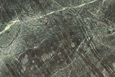 1_bidaser-green