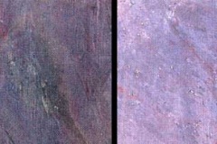 1_mayur-multi
