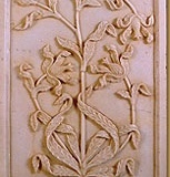 1_pannel1
