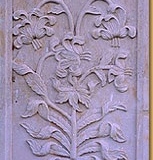 1_pannel6